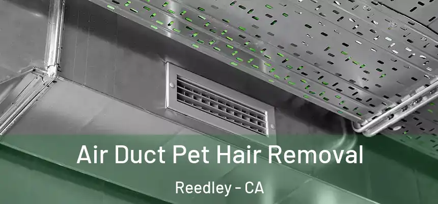  Air Duct Pet Hair Removal Reedley - CA