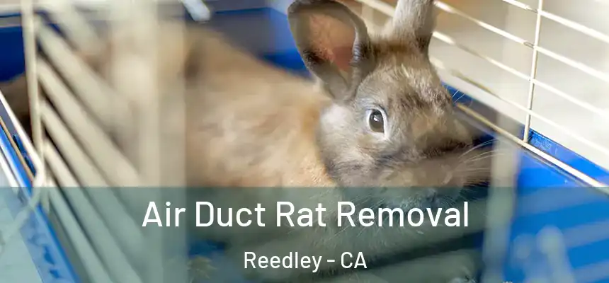 Air Duct Rat Removal Reedley - CA