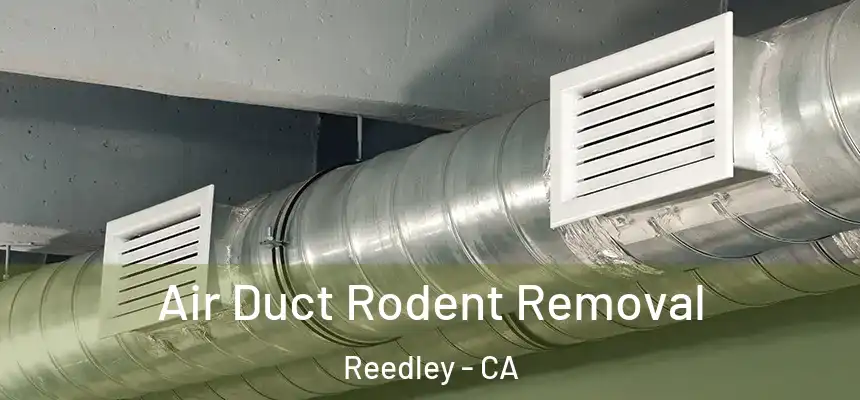 Air Duct Rodent Removal Reedley - CA