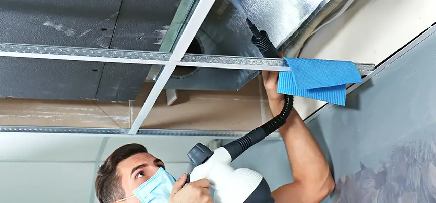 Our Air Duct Rodent Removal Services in Reedley, CA