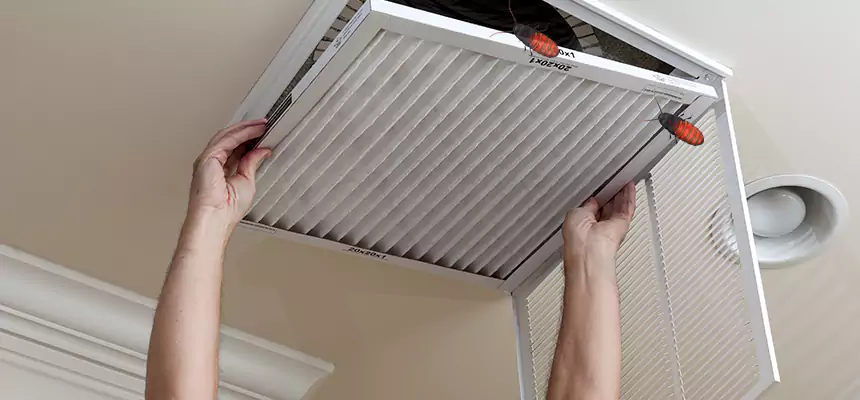 Our Insect Removal from Air Ducts Services in Reedley, CA