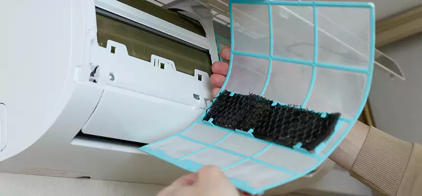 Gentle Ductwork Odor-Control Pet Dander Duct Cleaning in Reedley, CA