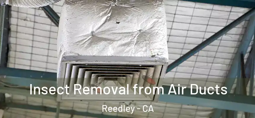  Insect Removal from Air Ducts Reedley - CA