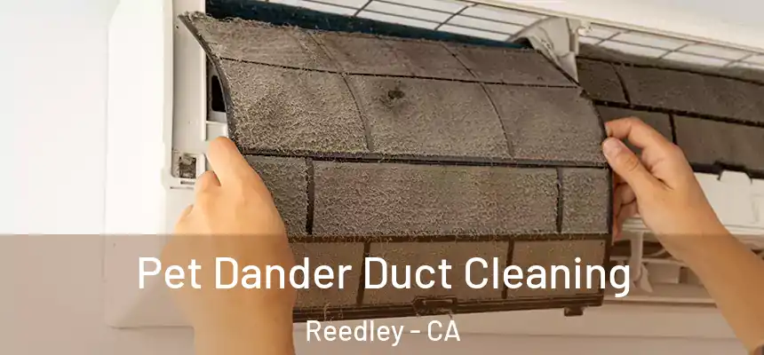 Pet Dander Duct Cleaning Reedley - CA
