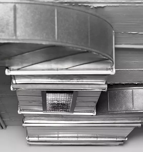 Professional Air Duct Pest Removal in Reedley, CA