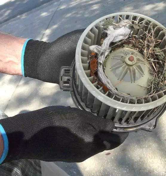 About Air Duct Rat Removal in Reedley, CA