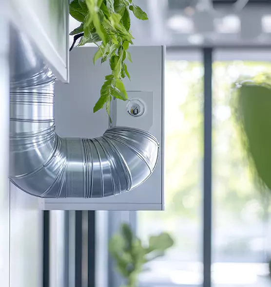 Professional Eco-Friendly Duct Cleaning Services in Reedley, CA