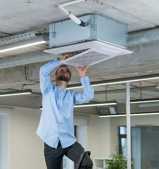 Advanced Rodent Droppings In Vents in Reedley, CA