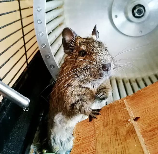 Why Homeowners & Businesses Trust Us Reedley, CA