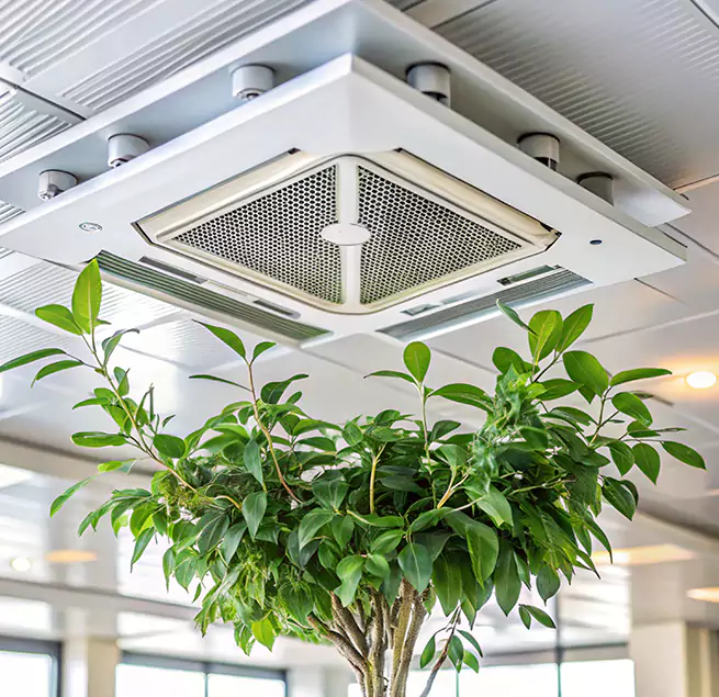 Why Homeowners & Businesses Trust Us in Reedley, CA