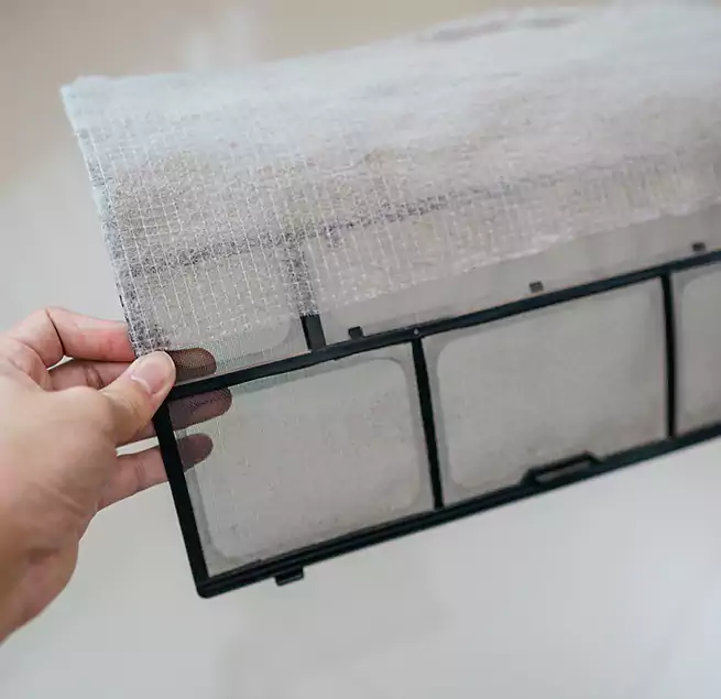 Why Homeowners & Businesses Trust Us in Reedley, CA?