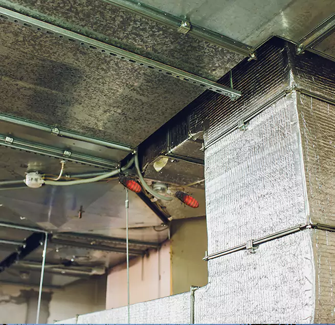 Why Homeowners & Businesses Trust Us Reedley, CA?